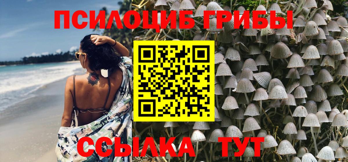 Псилоцибиновые грибы Magic Shrooms Торжок