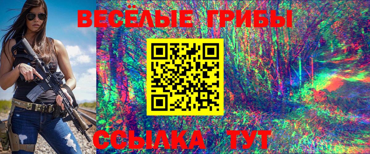 купить наркотики цена  Вход с VPN  Галлюциногенные грибы прущие грибы  Торжок  Псилоцибиновые грибы Psilocybine cubensis 